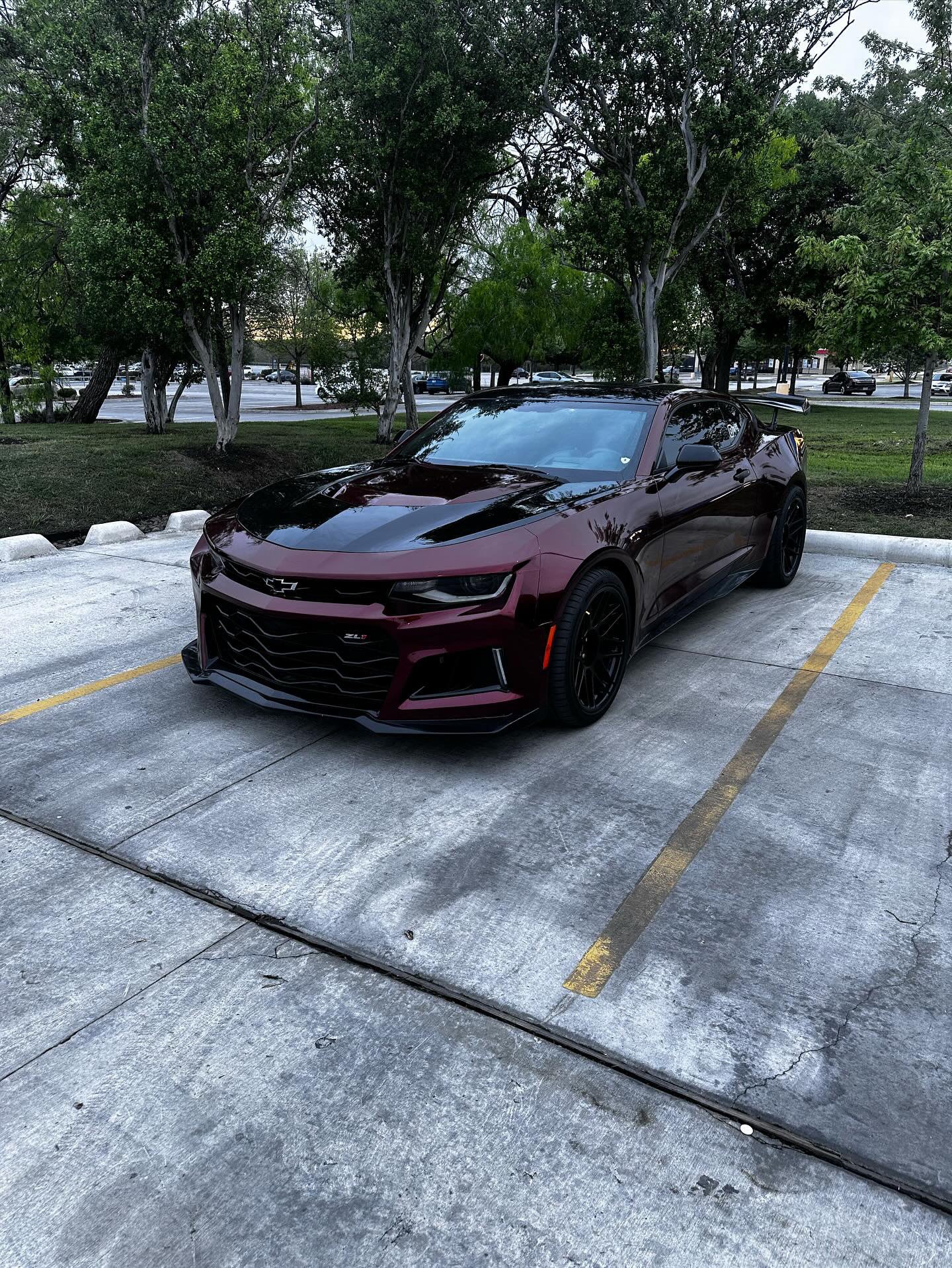 Metallic Dragon Blood Red