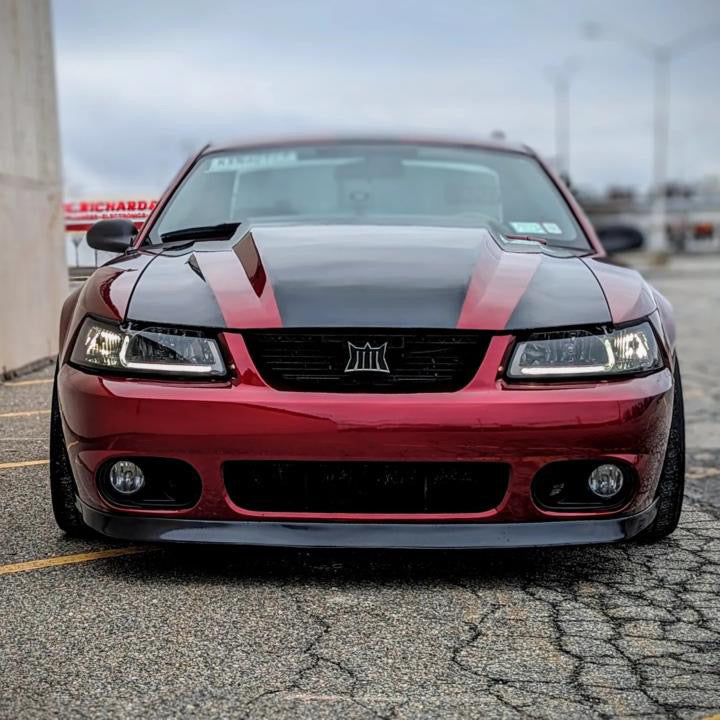 Metallic Dragon Blood Red