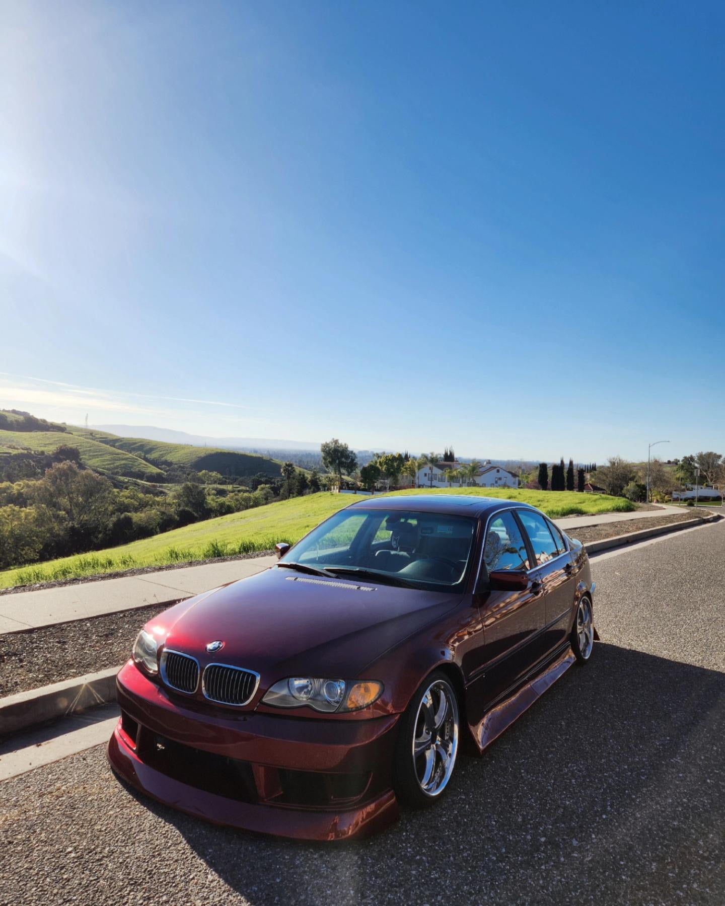 Metallic Dragon Blood Red