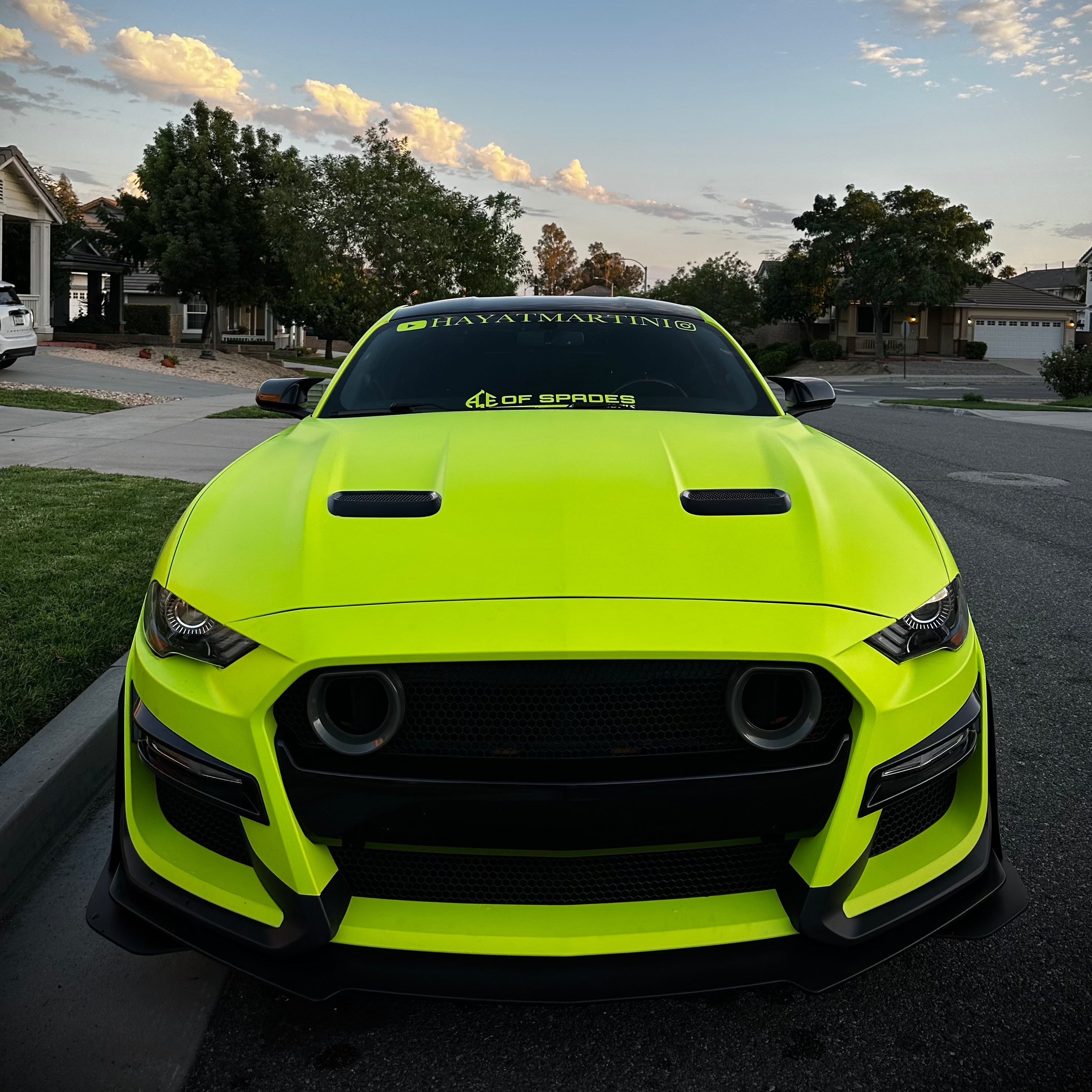 Matte Fluorescent