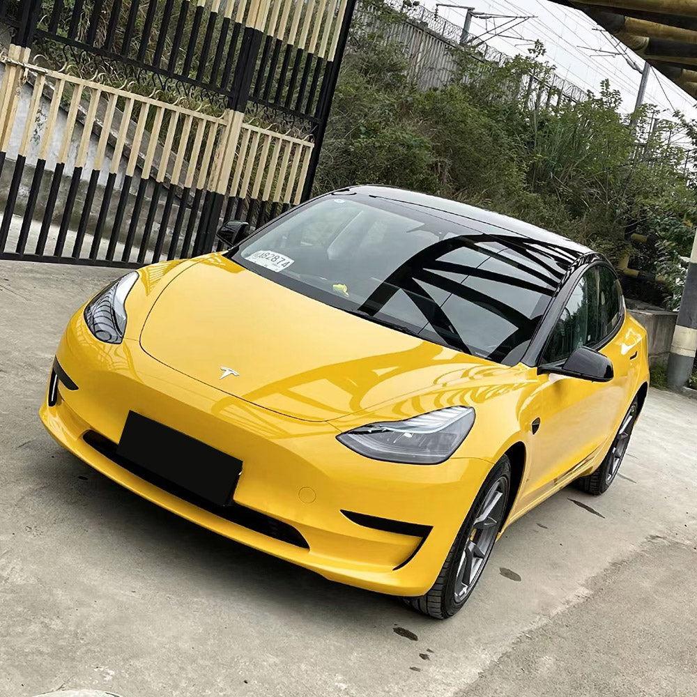 Sunflower Yellow